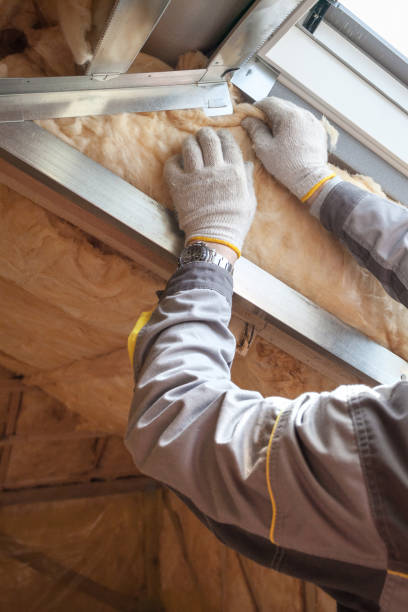 Best Specialized Insulation Services in Lafayette, CO