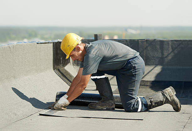 Best Eco-Friendly Insulation in Lafayette, CO